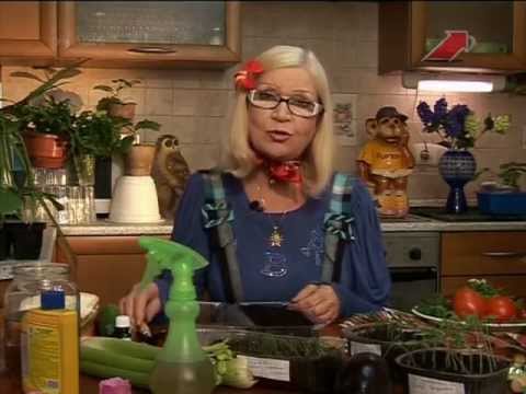 Видео: Советы от Октябрины Г. Семена-посадка.