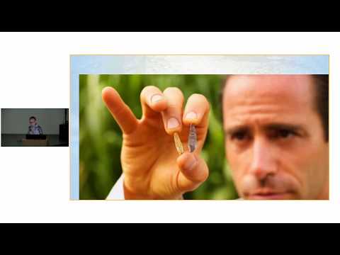 Видео: Драгоценные камни Шри-Ланки: геология, добыча и дельцы | Дни Науки-2018