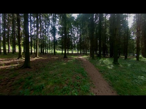 Видео: Полянка и лесок за улицей Чапаева в Витебске