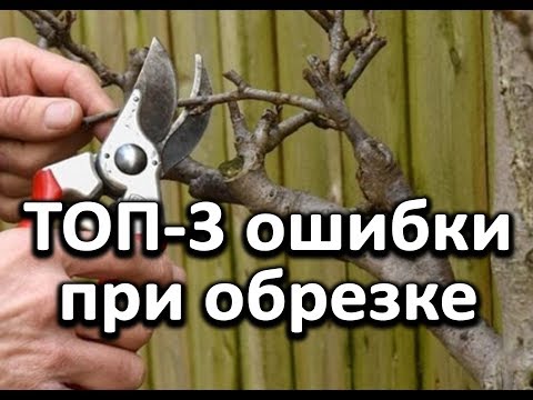 Видео: Топ-3 ошибки при обрезке.