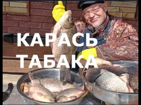 Видео: КАРАСЬ ТАБАКА на сковороде