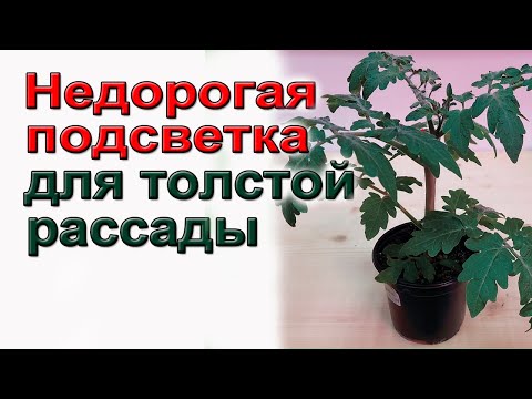 Видео: Недорогая подсветка для толстой рассады. Подробно.