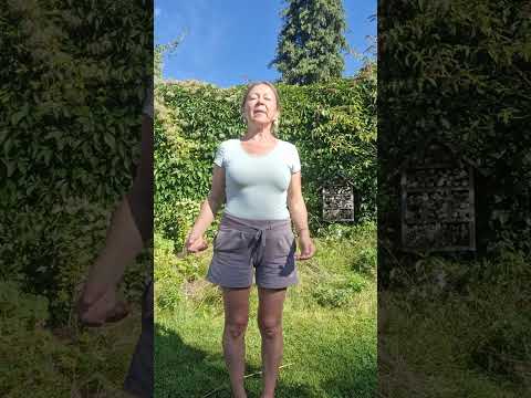 Видео: Йога для рук.