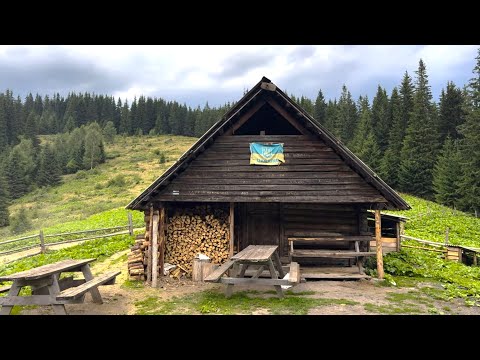 Видео: Закинуті хати в Карпатах посеред густого лісу!