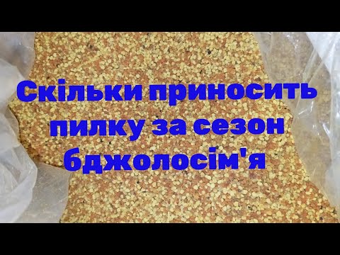 Видео: Міфи про збір пилку. Переставляю вулики на палети