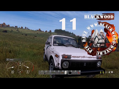 Видео: "Любой каприз за наши деньги, ПНВ" # 11 Dayz PVE (первый сезон)