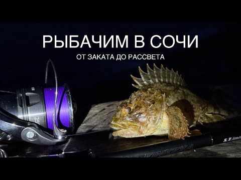 Видео: Рыбачим в Сочи. Летняя рыбалка от заката до рассвета.