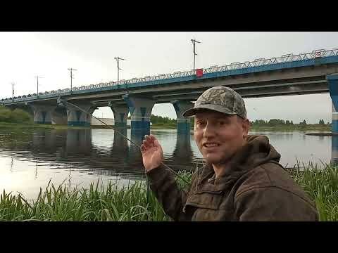 Видео: Что с рыбой?🤔 Березина река с характером! рыбалка фидером в черте Бобруйска!