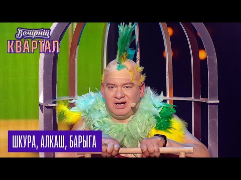 Видео: Шкура, алкаш, барыга - Муж научил попугая разговаривать | Новый Вечерний Квартал 2018