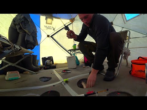 Видео: РЫБА-КОНИ ЛОВЯТСЯ ЗДЕСЬ | Город из ПАЛАТОК СТОИТ на РЫБЕ | ЛОВЛЮ и ЖИВУ ОДИН в ПАЛАТКЕ | РОЗЫГРЫШ |