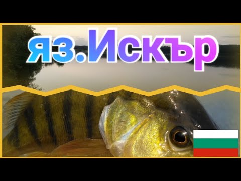 Видео: язовир ИСКЪР РИБОЛОВ С БУЛДО,ПЛУВКА И ФИДЕР