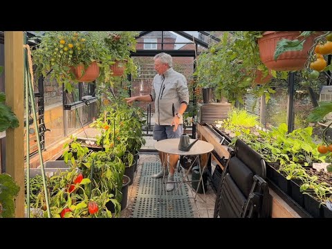 Видео: Ход работ по теплице и выращиванию рассады ~ конец октября