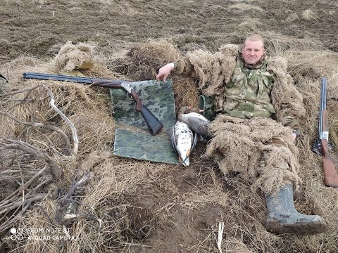 Видео: ОХОТА НА ГУСЯ 2021. ТАКОГО Я ЕЩЕ НЕ ВИДЕЛ !!!!