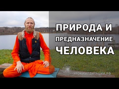 Видео: Природа и предназначение