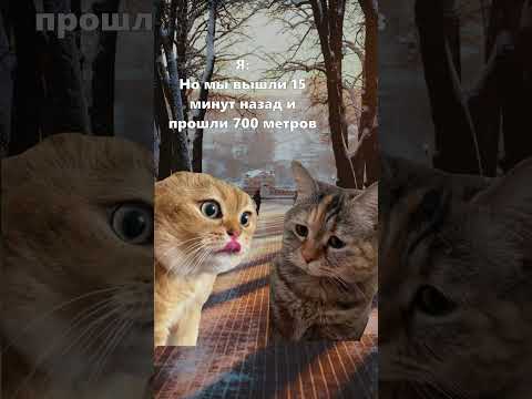 Видео: POV: Прогулка с девушкой #cat #shorts #cats #girlfriends