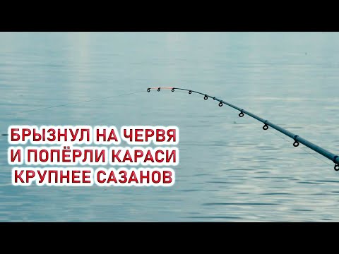Видео: Тут КАРАСИ клюют КРУПНЕЕ САЗАНОВ!!!Рыбалка на карася и леща на фидер в июне 2025