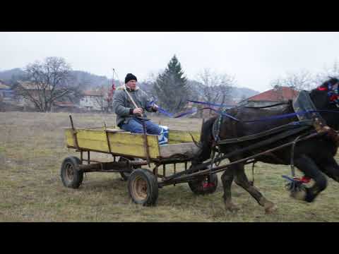 Видео: Слалом с каруци. Тодоровден в село Баня