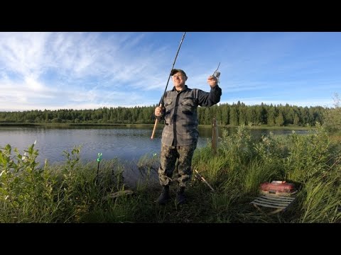 Видео: Рыбалка с фидером на лесном пруду.