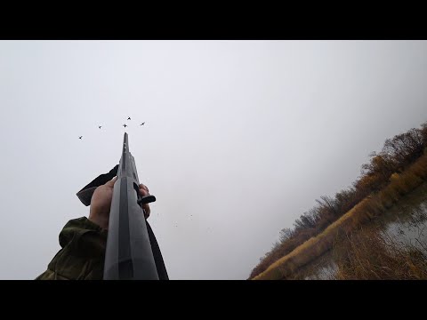 Видео: Отличные налеты утиных стай. Охота на утку. Duck hunting.