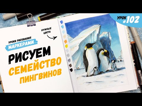 Видео: Как нарисовать пингвинов? / Видео-урок по рисованию маркерами #102