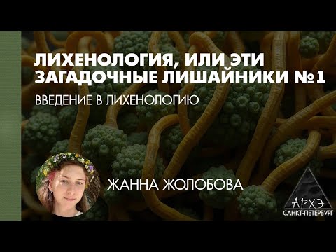 Видео: Введение в лихенологию (Л.1) | Жанна Жолобова
