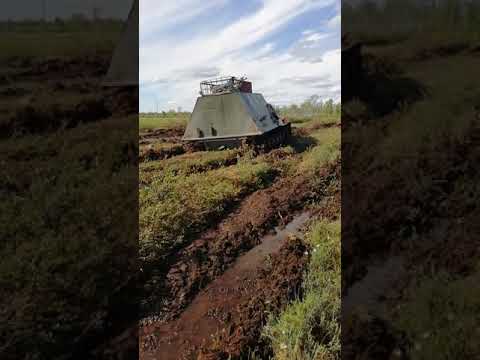 Видео: Гтт по болотам хмао