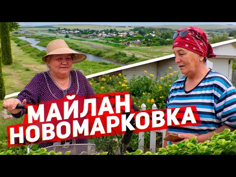 Видео: Здесь любят акима и голова не болит. Майлан/Новомарковка