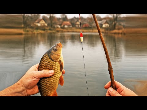 Видео: ✔️ ЗАКРИВ СЕЗОН РИБОЛОВЛІ 🐟 карася та коропа на поплавок 🎣