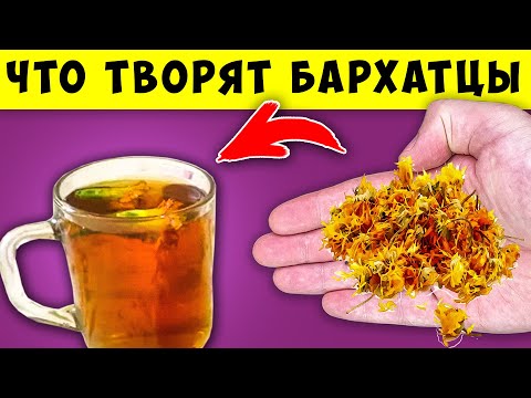 Видео: Вот что творят БАРХАТЦЫ с телом! 80% людей НЕ ЗНАЮТ об Этом...