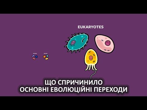 Видео: Що спричинило основні еволюційні переходи [Stated Clearly]