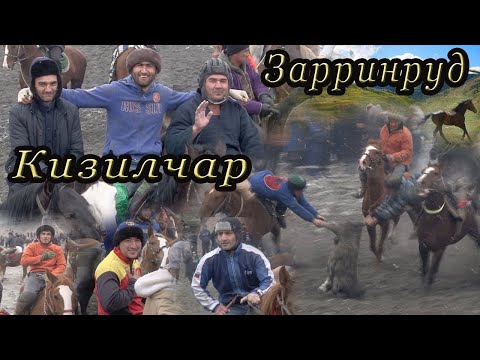 Видео: Бузкашии д (Кизилчар) Зарринруд. ш Панчакент в Зарафшон ТОЧИКИСТОН