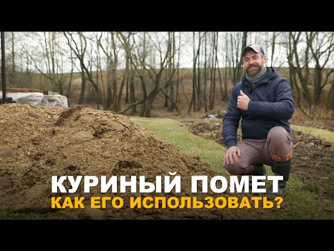 Видео: НЕТ ЦЕННЕЕ УДОБРЕНИЯ ДЛЯ ОГОРОДА, ЧЕМ КУРИНЫЙ ПОМЁТ. Как правильно использовать куриный помёт.