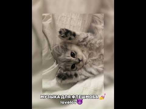 Видео: МУЗЫКА ДЛЯ ФЛЕШМОБА💅2024 год