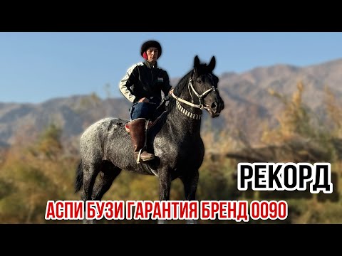 Видео: Аспхонаи 0090 Рекорд ба фуруш баромад 10 ноября 2025 г.