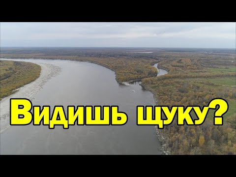 Видео: Где искать щуку на незнакомой реке? Рыбалка на спиннинг осенью / Рыбалка с Aikoland TV