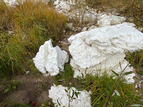 Видео: ЭТО НЕ МИФ!Молочные берега и кисельные реки существуют. Дом 1907 года постройки 3 года спустя.