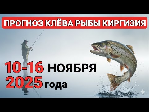 Видео: ПРОГНОЗ КЛЁВА в Киргизии с 10 по 16 ноября 2025. Бросай все и на рыбалку!