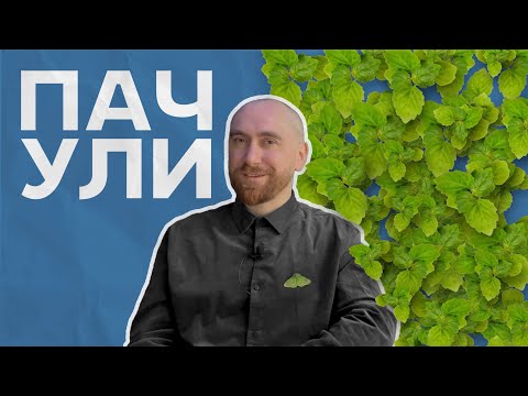 Видео: Гид по пачули. 5 ароматов с моей полки + 5 слепых затестов из Лондона