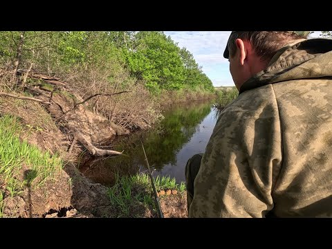 Видео: Рыбалка на речке вечером! РЯДОМ БРОДИТ ДИКИЙ КАБАН!!!