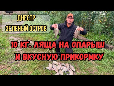 Видео: Днестр. Зеленый остров. 10кг. ЛЯЩА на ОПАРЫШ и вкусную прикормку. #днестр #лящ