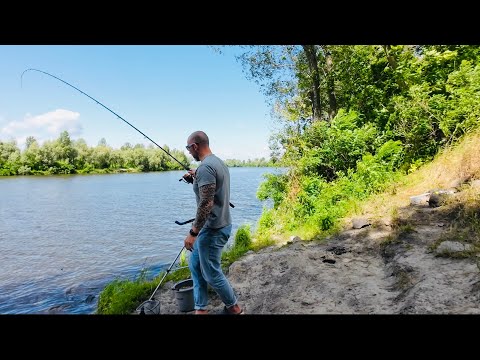 Видео: Риболовля 🎣 на Десні в шторм 💨🌧️останнього дня червня 2025.Як у штормову погоду клює лящ.