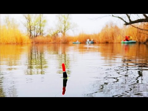 Видео: НАШЕЛ УКРОМНОЕ И ТИХОЕ МЕСТО С КРУПНЫМИ КАРАСЯМИ. Рыбалка на карася на поплавок