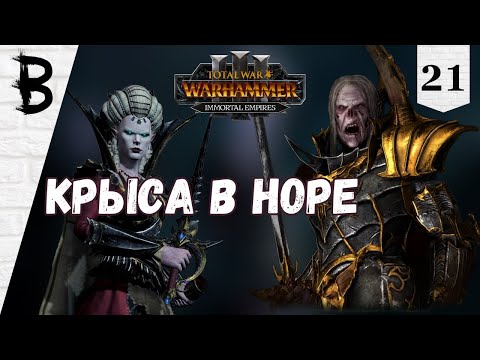 Видео: Total War: Warhammer 3 Immortal Empires Сильвания, Влад фон Карштайн #21 "Крыса в норе"