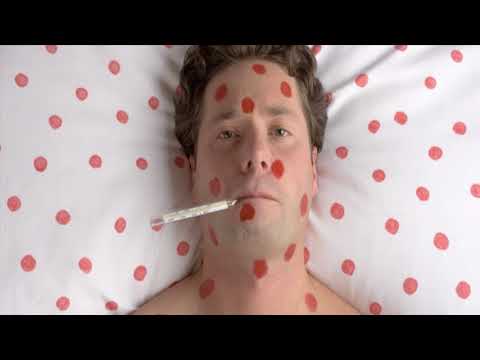 Видео: Осторожно, грызуны!