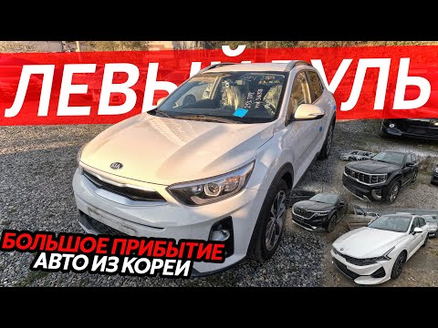 Видео: БОЛЬШОЕ ПРИБЫТИЕ АВТО ИЗ КОРЕИ🔥ЦЕНЫ НА ЛЕВЫЙ РУЛЬ В 2024 ГОДУ⁉️KIA K3 K5❗️STONIC ❗️CARNIVAL MOHAVE❗️