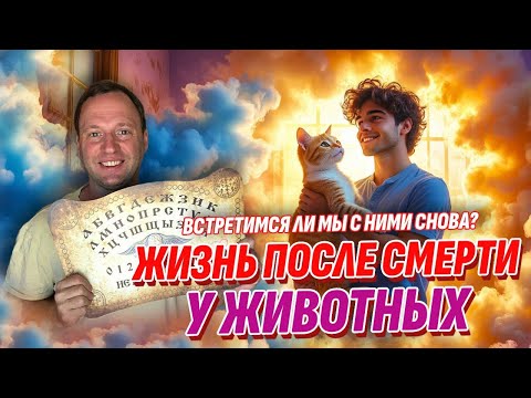 Видео: Раскрыта тайна, куда после смерти попадают животные (не туда, куда все думали)
