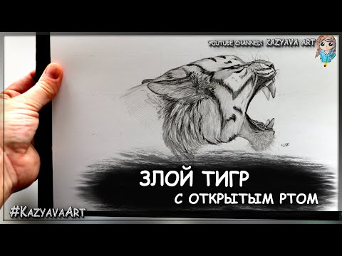 Видео: Как нарисовать злого тигра с открытым ртом карандашом.