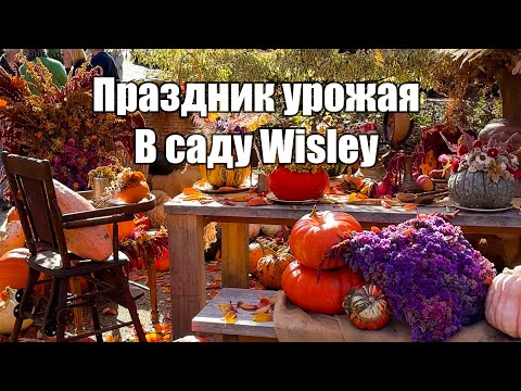 Видео: Vlog 591 - Wisley.Как в Англии проходит праздник урожая?!