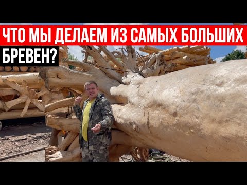 Видео: ЧТО МЫ ДЕЛАЕМ ИЗ САМЫХ БОЛЬШИХ БРЕВЕН?