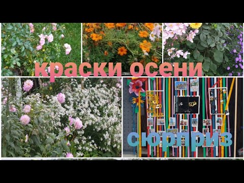 Видео: ЖИВУ В ГЕРМАНИИ ❤ ЦЕНА НА БЕНЗИН ⛽ ШОПИНГ